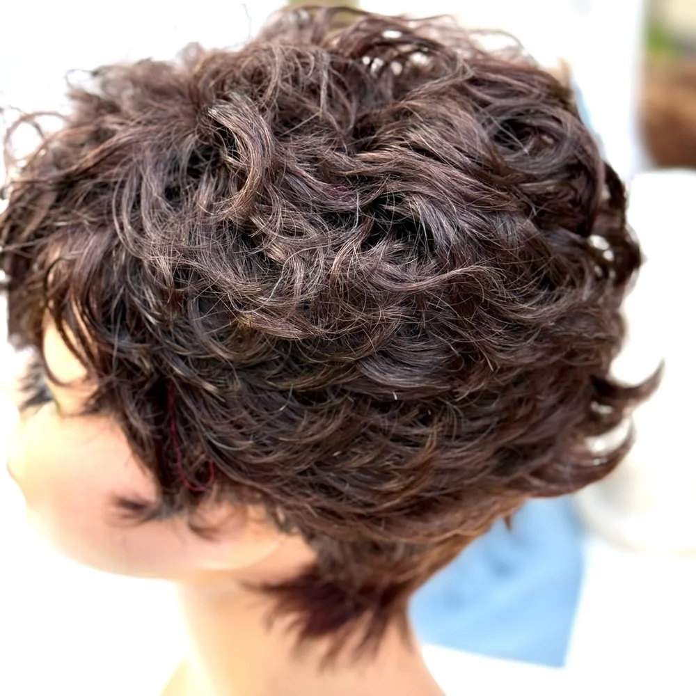 Short Curly Pixie Wig in Dark Brown - Women Hair - Picture 10 of 15
